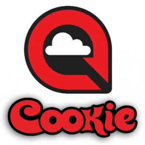 Cookie helmet mounts