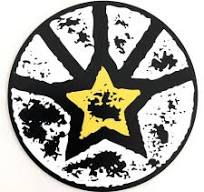 Chutingstar tandem handcam